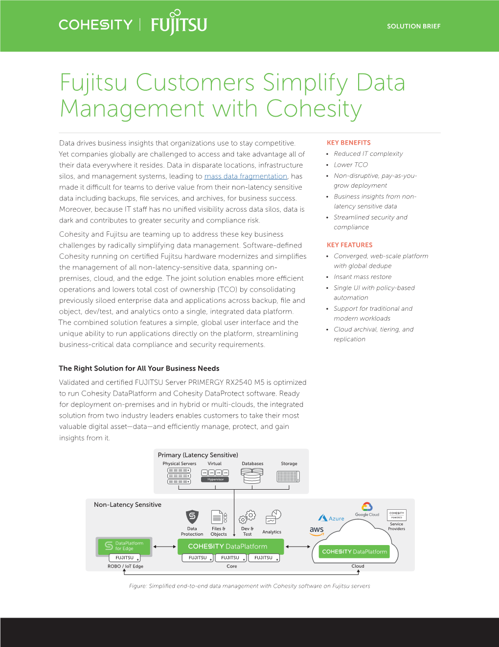 Fujitsu Customers Simplify Data Management with Cohesity