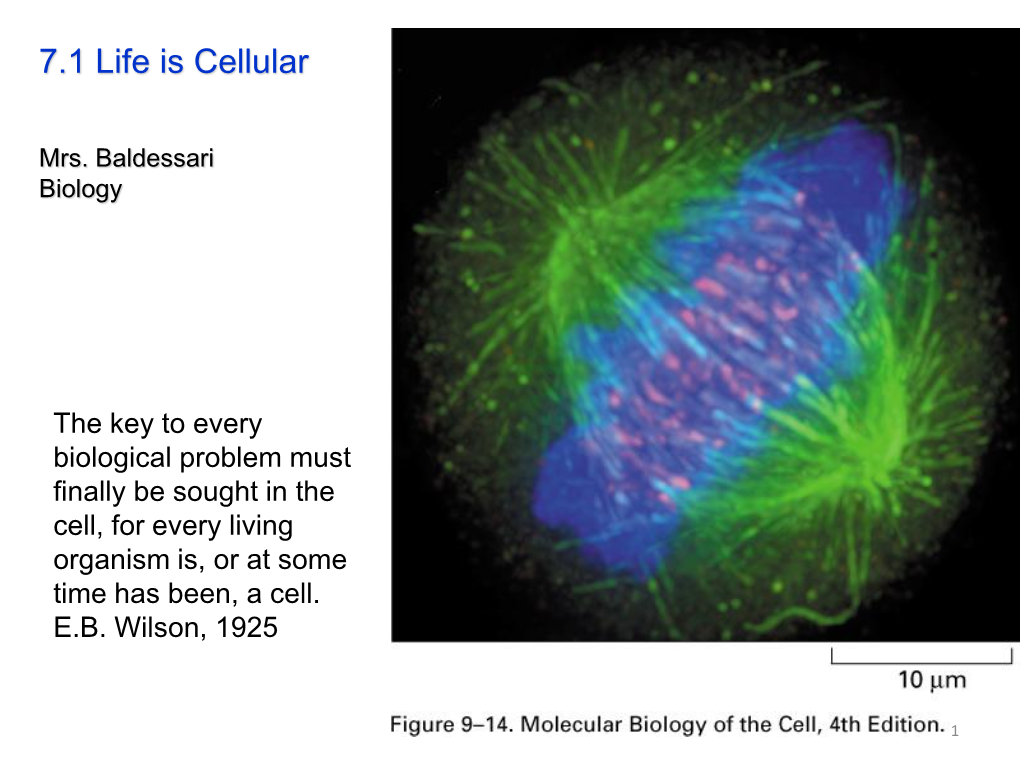 7.1 Life Is Cellular