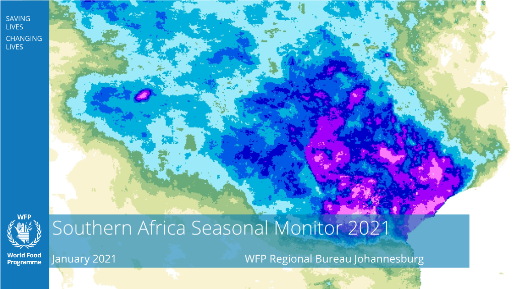 Southern Africa Seasonal Monitor 2021