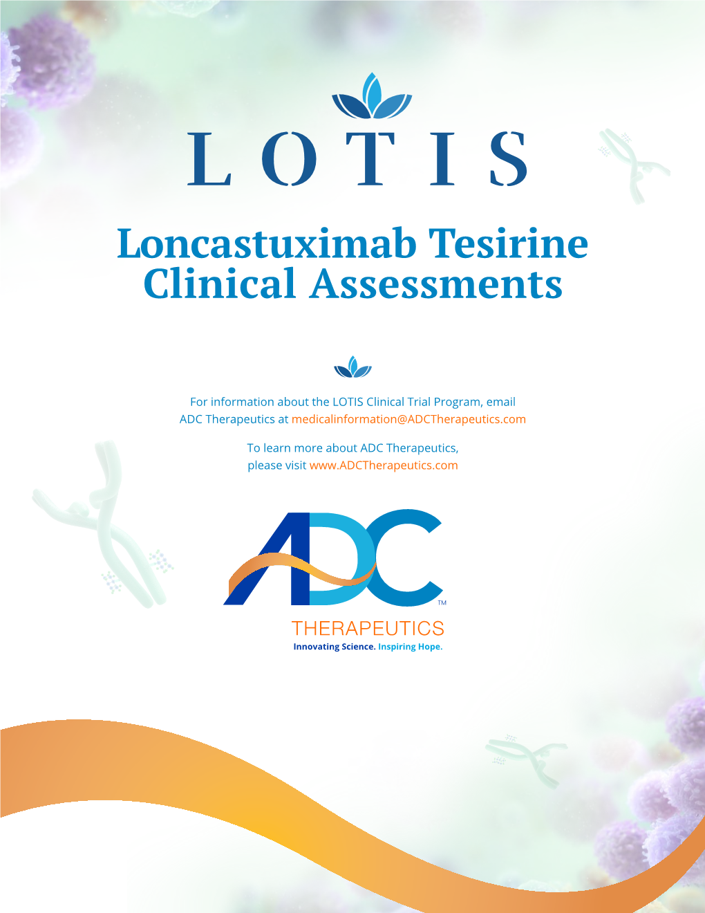 Loncastuximab Tesirine Clinical Assessments