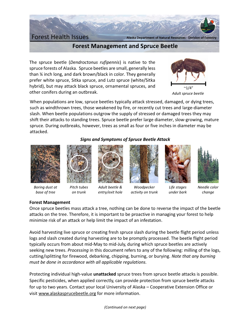 Forest Management and Spruce Beetle