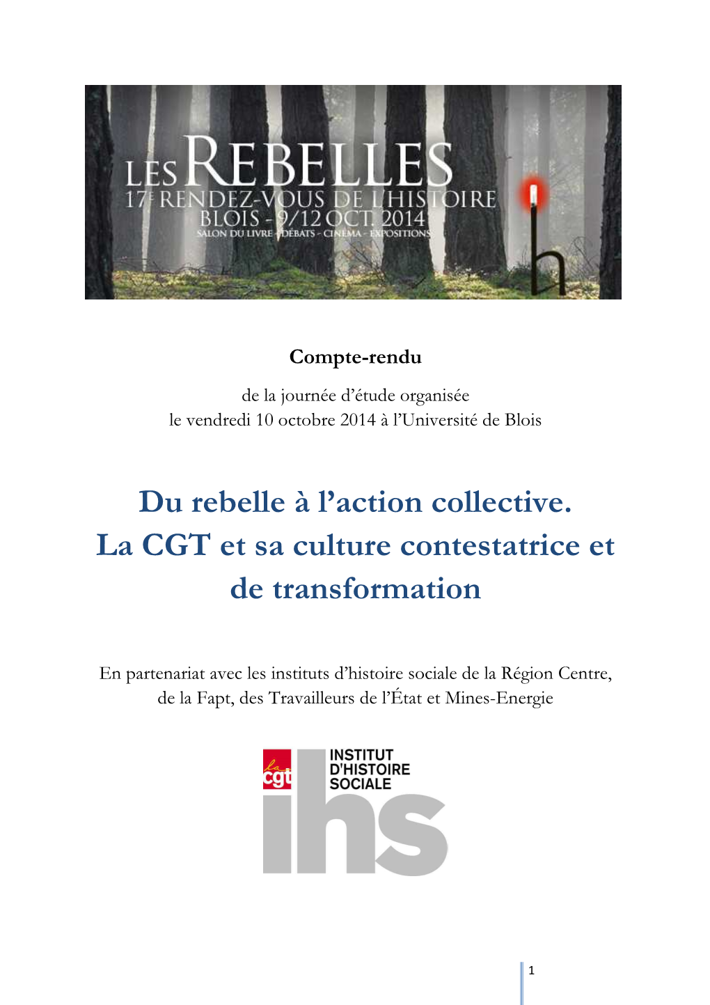 Compte-Rendu JE IHS-CGT Rdv Blois 2014