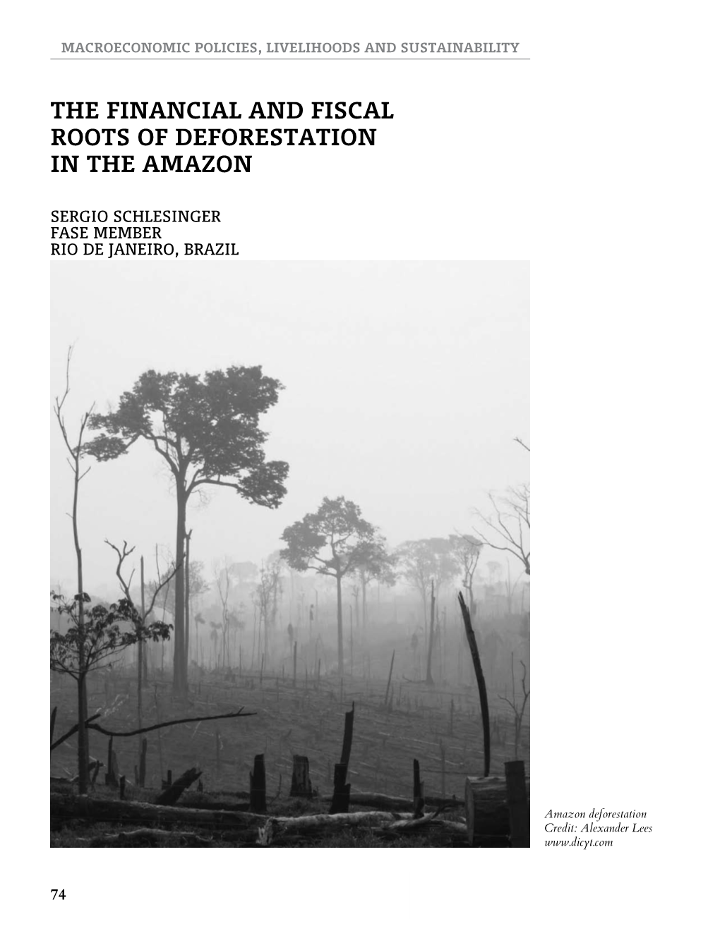 The Financial and Fiscal Roots of Deforestation in the Amazon