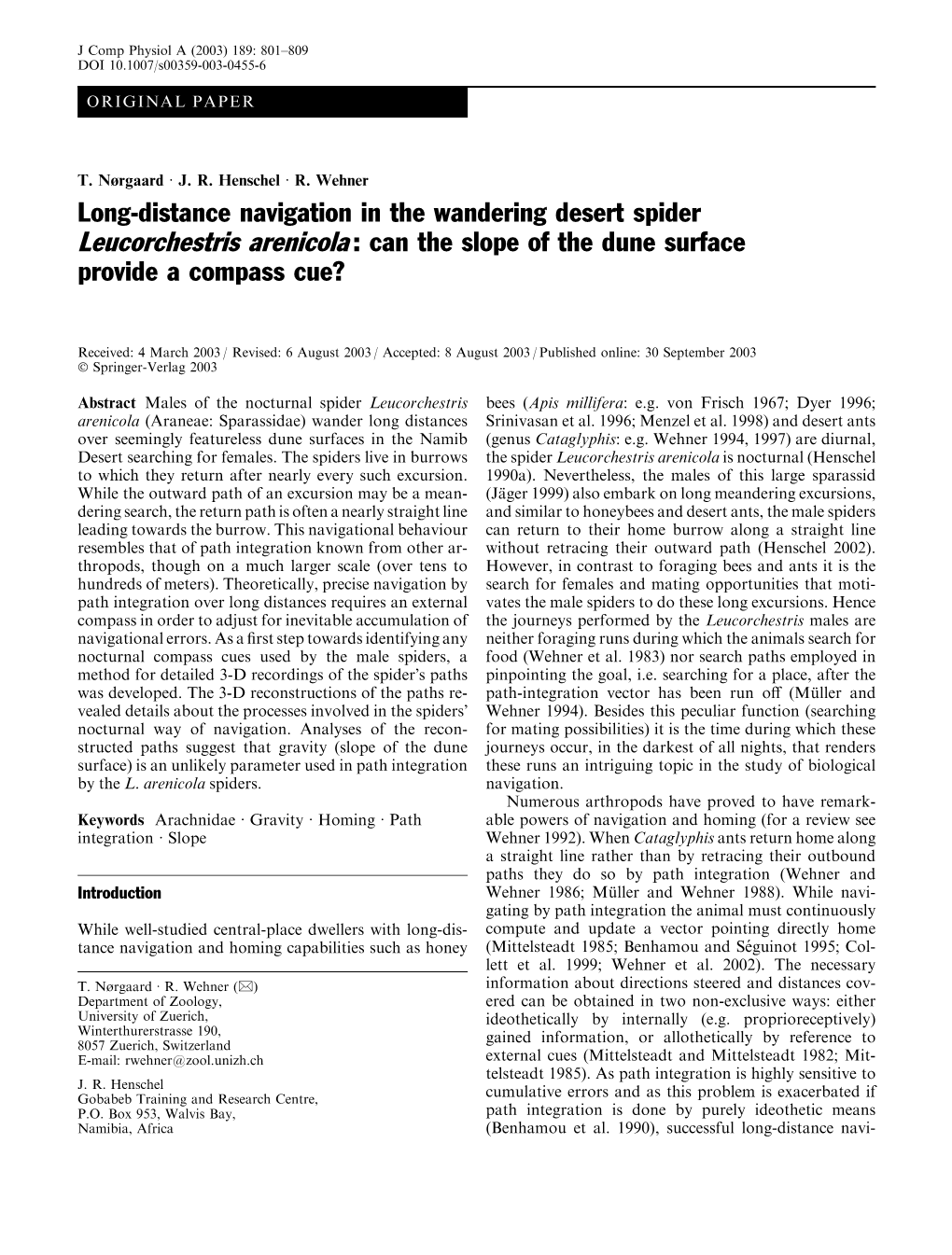 Long-Distance Navigation in the Wandering Desert Spider Leucorchestris Arenicola : Can the Slope of the Dune Surface Provide a Compass Cue?