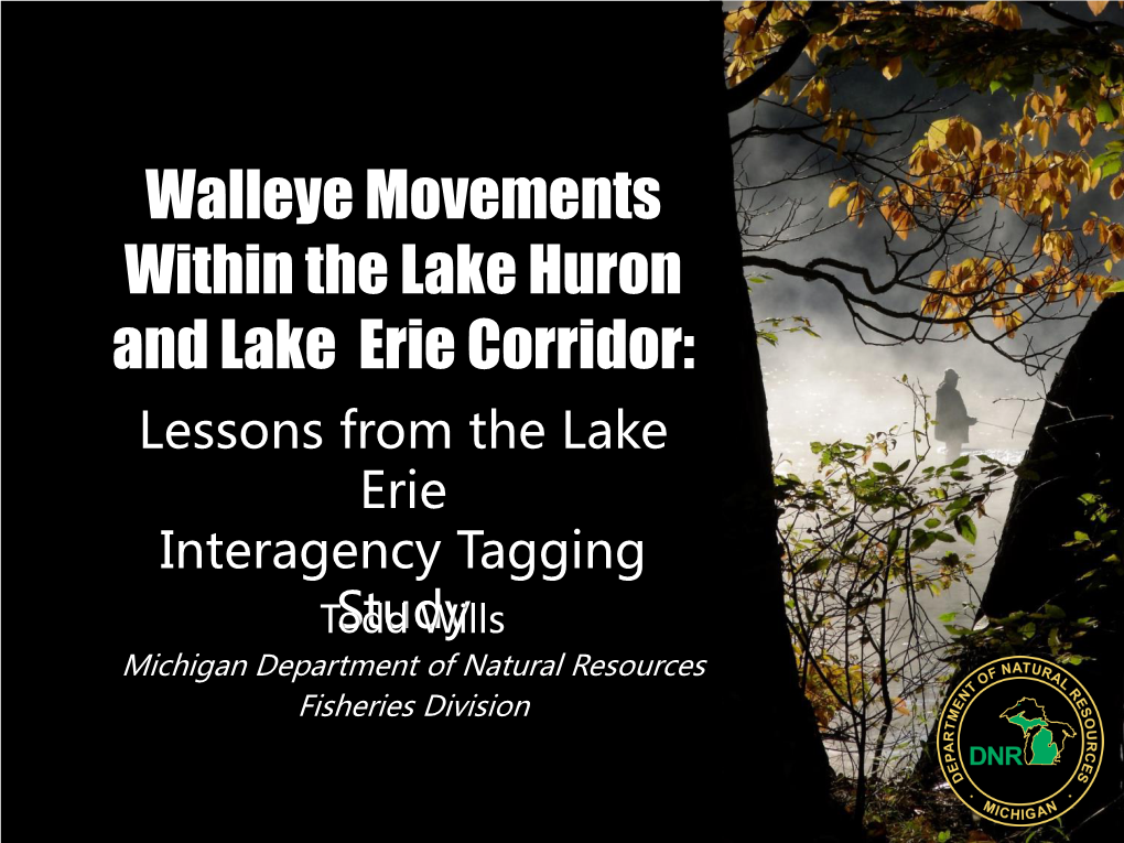 Walleye Movements Within the Lake Huron and Lake Erie Corridor