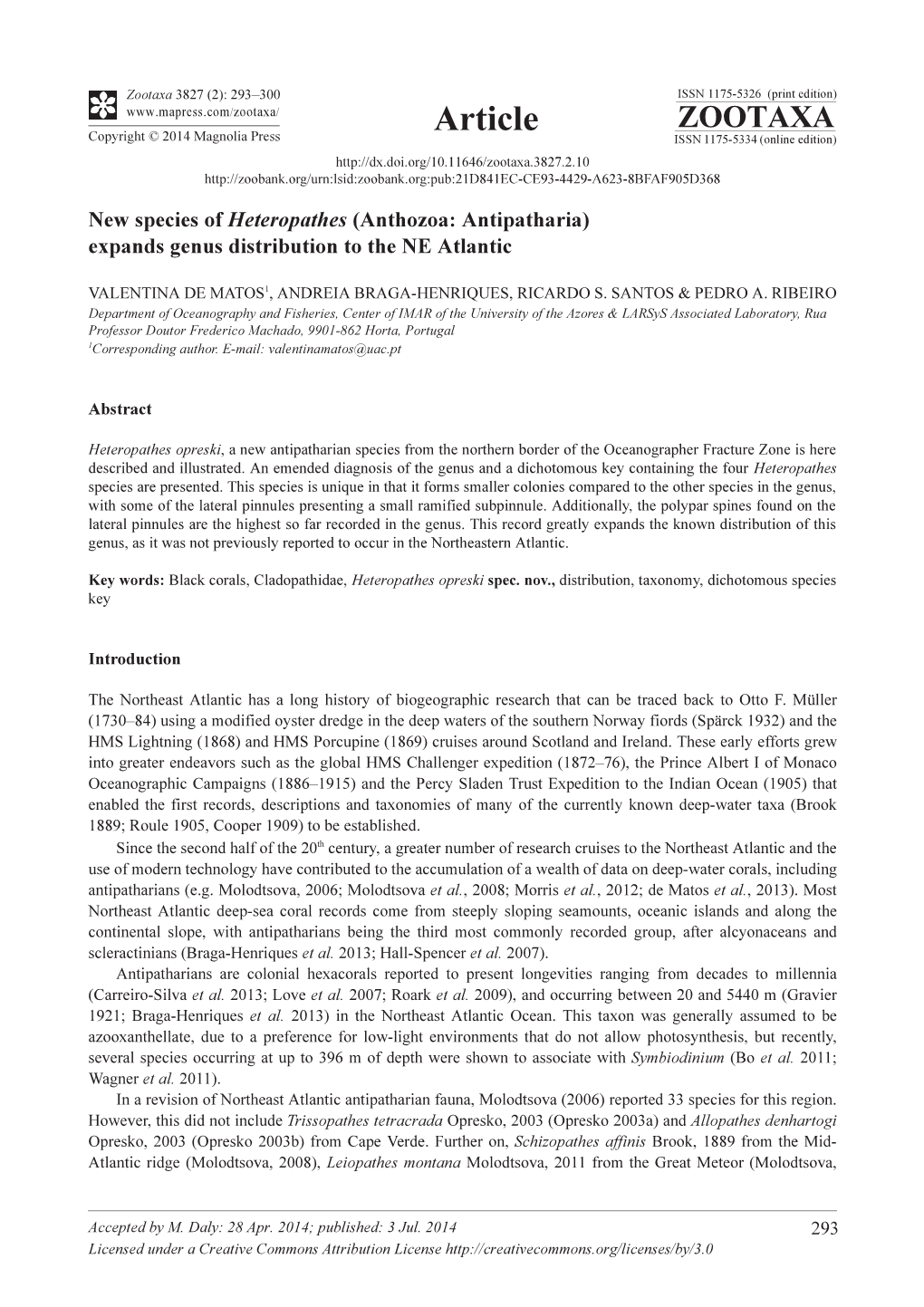 Anthozoa: Antipatharia) Expands Genus Distribution to the NE Atlantic