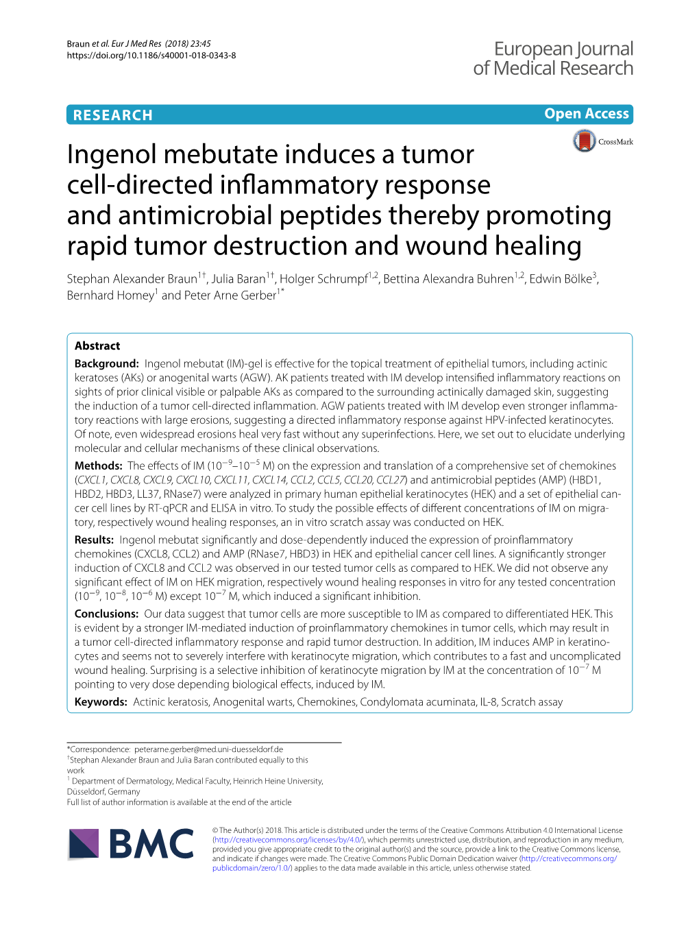 Ingenol Mebutate Induces a Tumor Cell-Directed Inflammatory Response