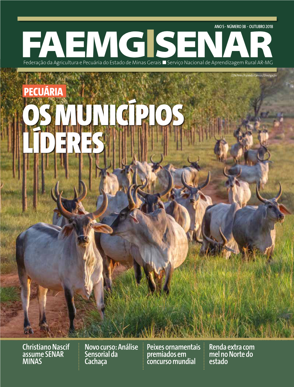 Revista FAEMG | SENAR