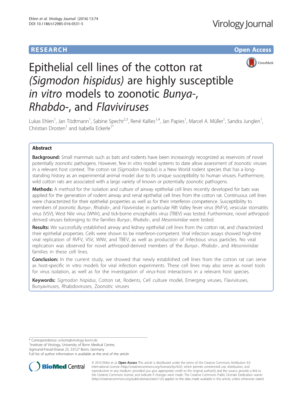 Epithelial Cell Lines of the Cotton Rat (Sigmodon Hispidus) Are Highly