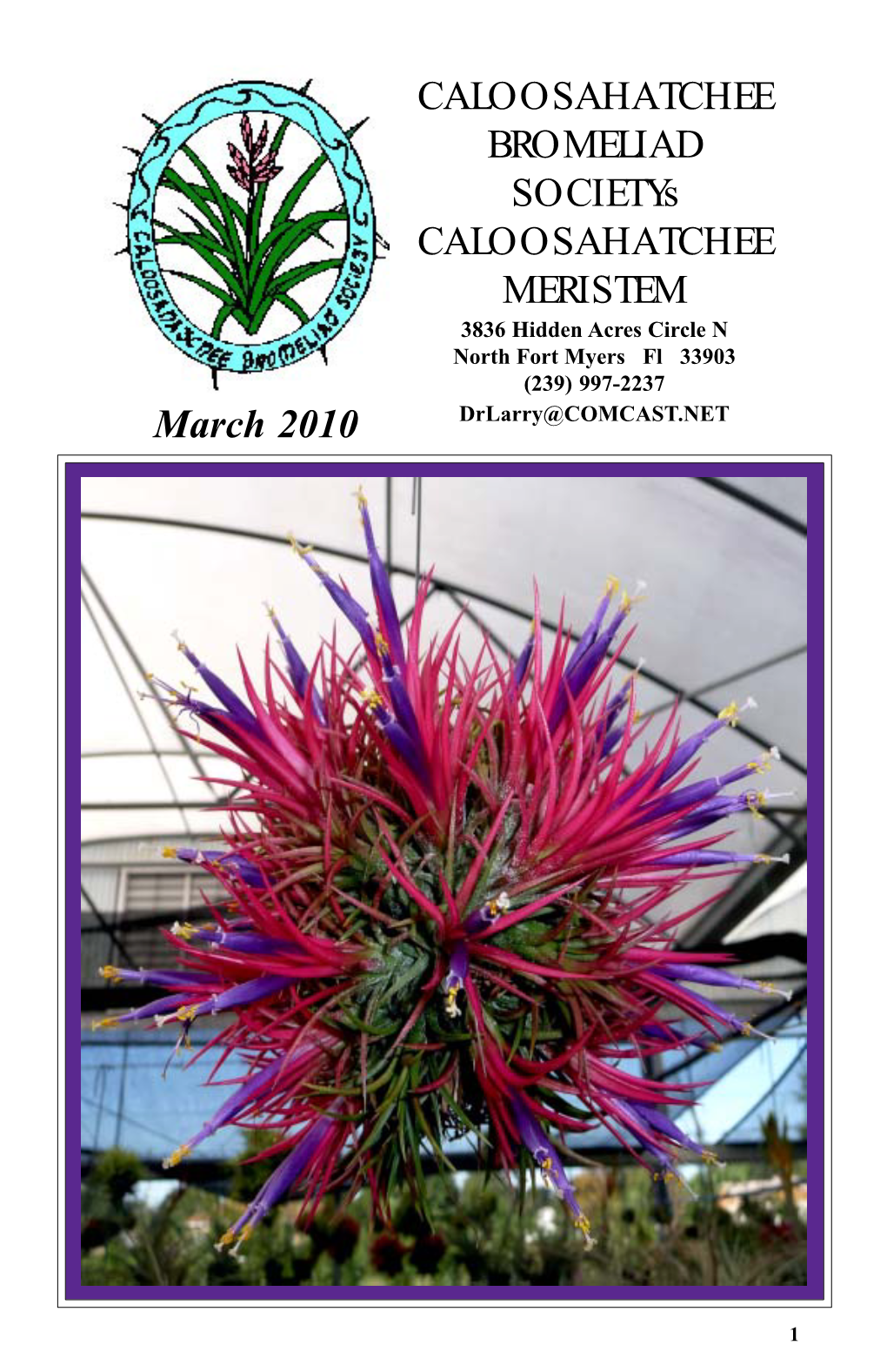 Caloosahatchee Bromeliad Society Officers