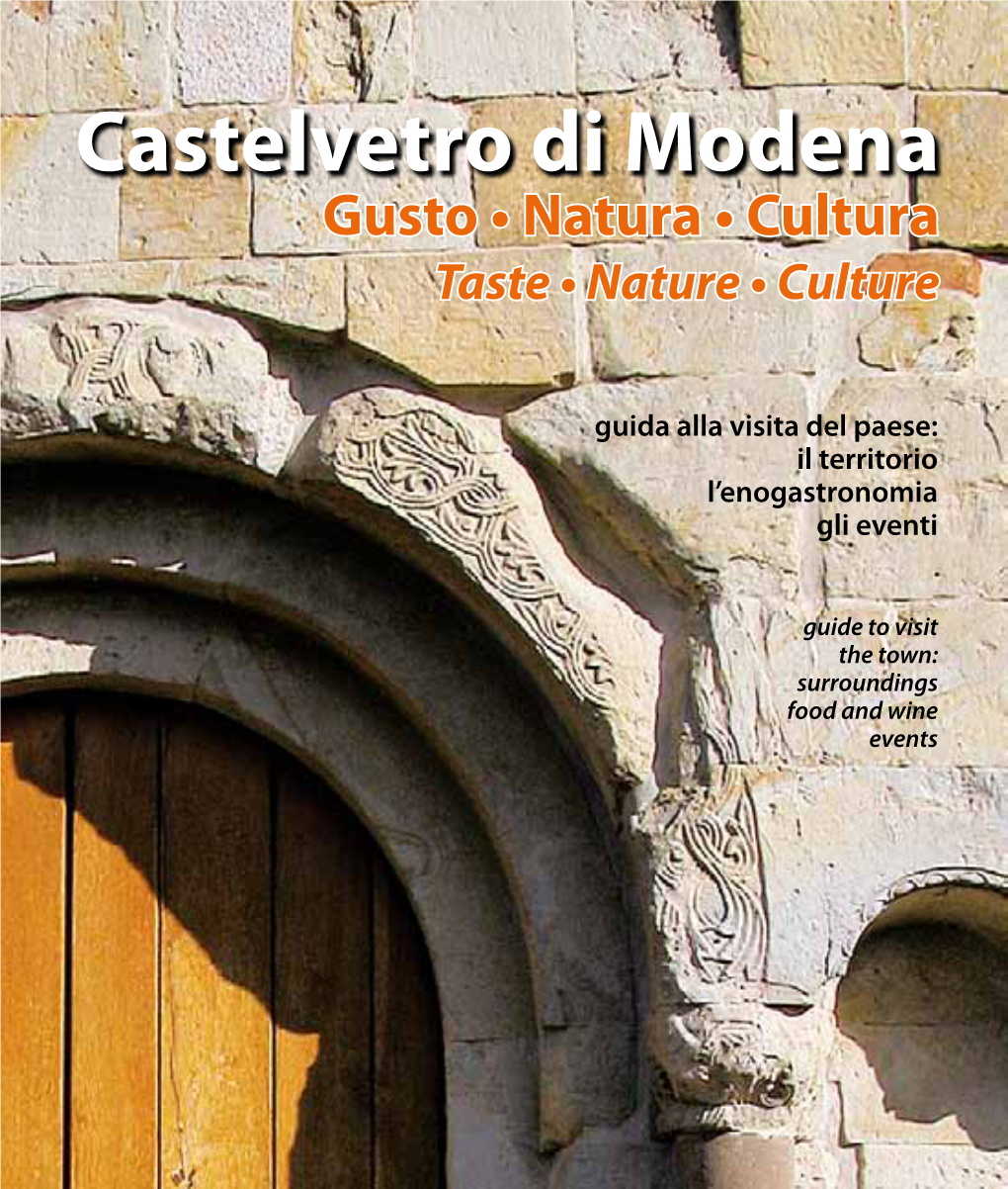 Comune Di Castelvetro Di Modena