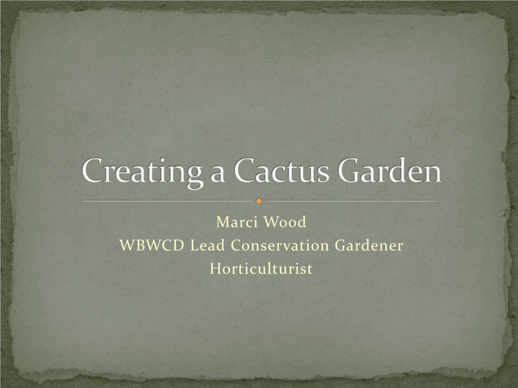Creating a Cactus Garden