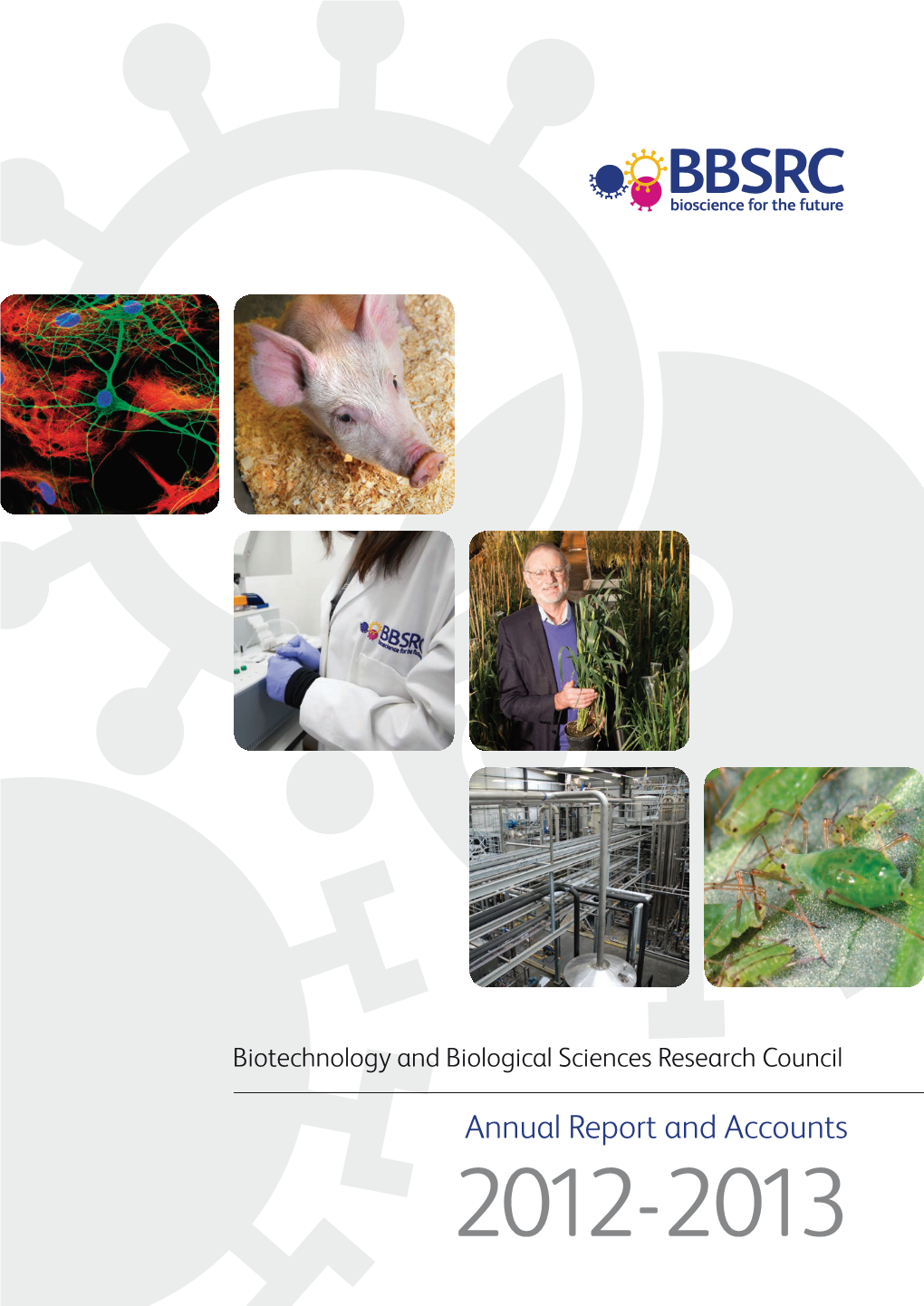 Biotechnology and Biological Sciences Research Council (BBSRC)