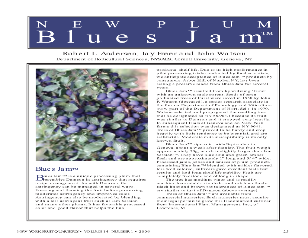 Blues Jam™ Plum