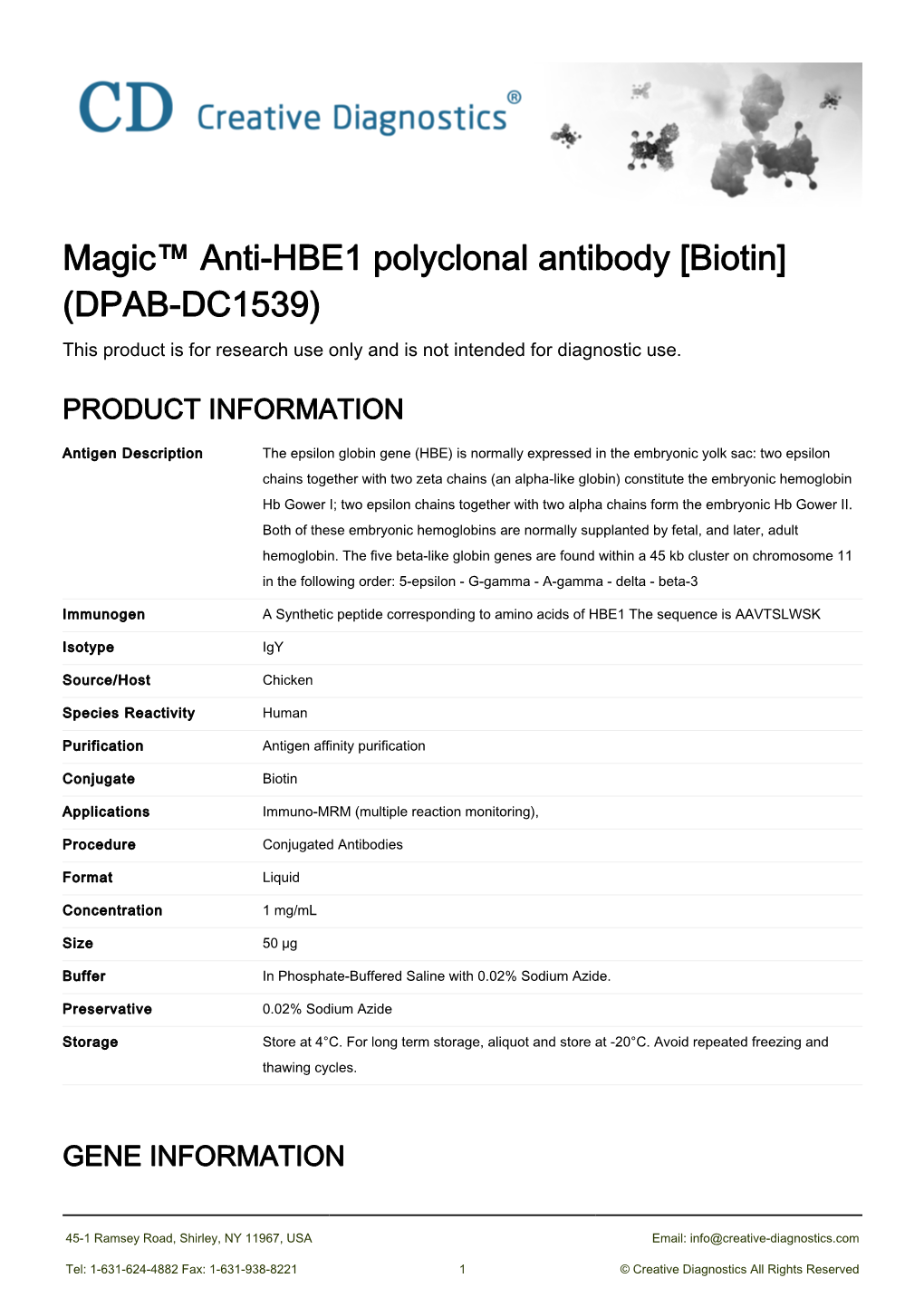Magic™ Anti-HBE1 Polyclonal Antibody [Biotin] (DPAB-DC1539) This Product Is for Research Use Only and Is Not Intended for Diagnostic Use