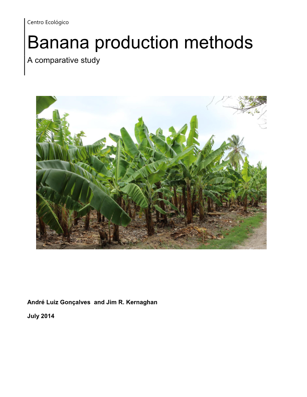 Banana Production Methods