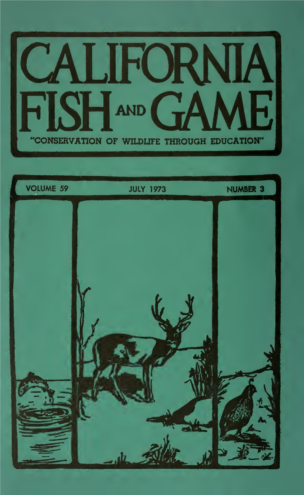 FISH-GAME 