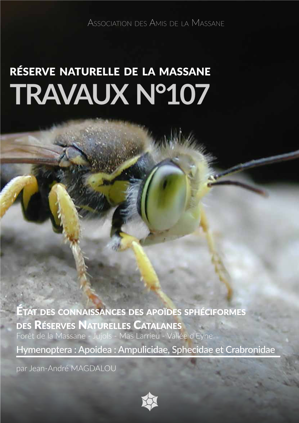 Travaux N°107