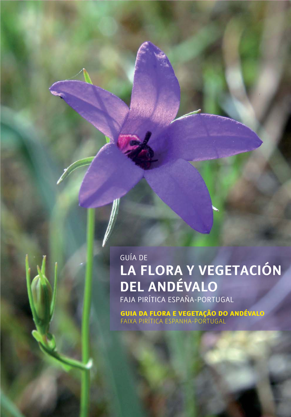 La Flora Y Vegetación Del Andévalo
