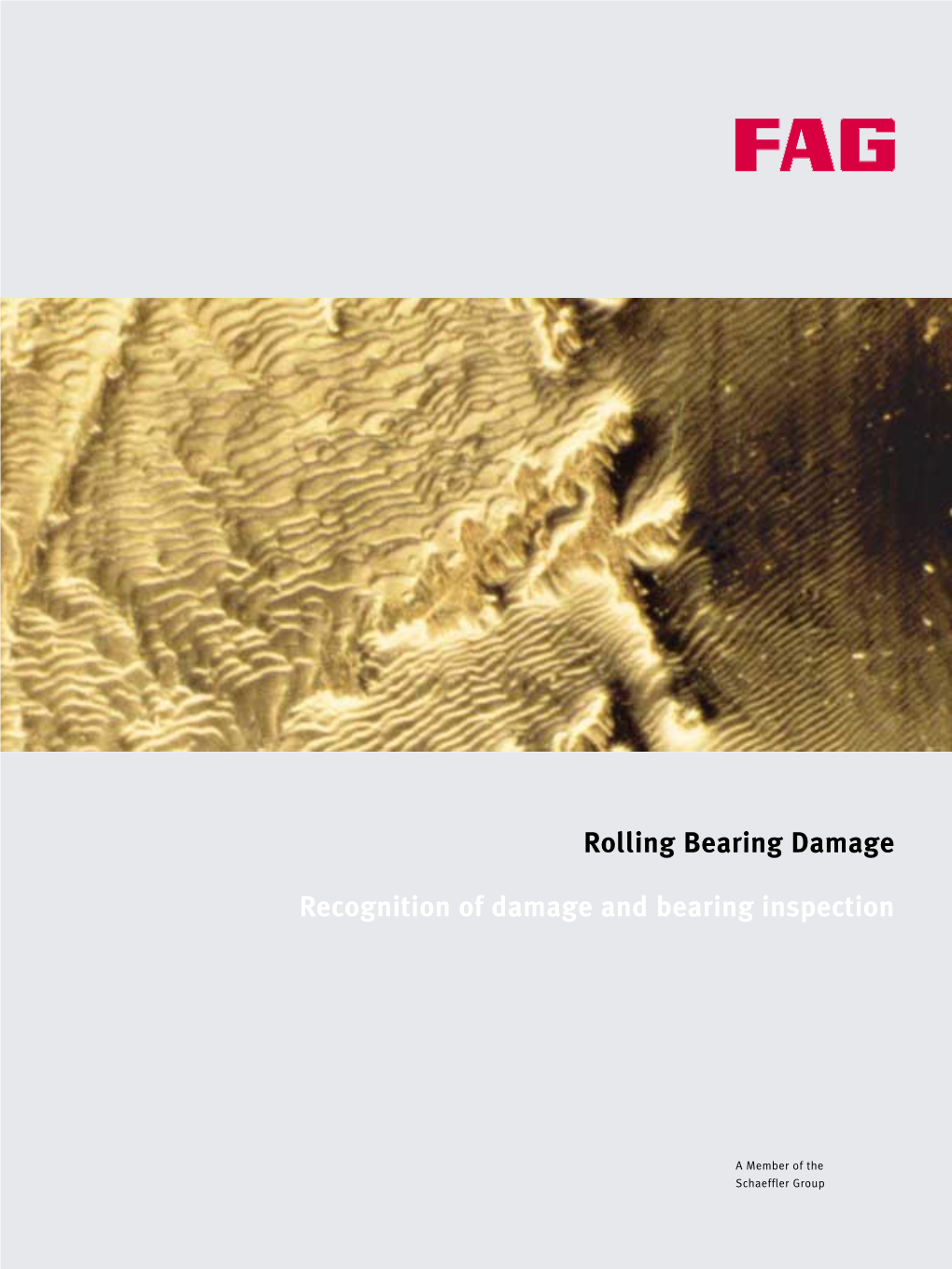 Rolling Bearing Damage Recognition of Damage and Bearing Inspection