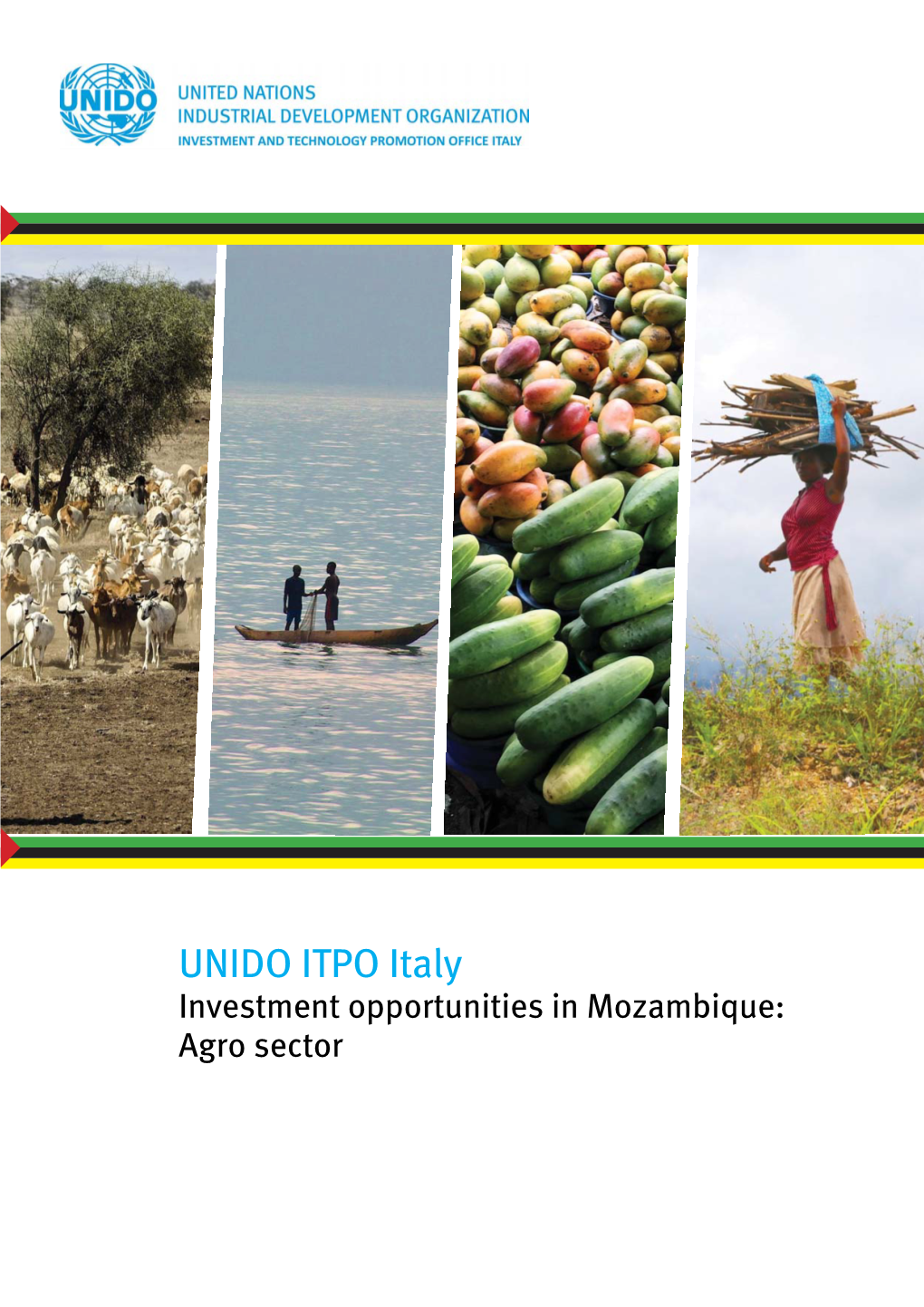 UNIDO ITPO Italy Investment Opportunities in Mozambique: Agro Sector 26 25 30 20 23 MOZAMBICO 35 31