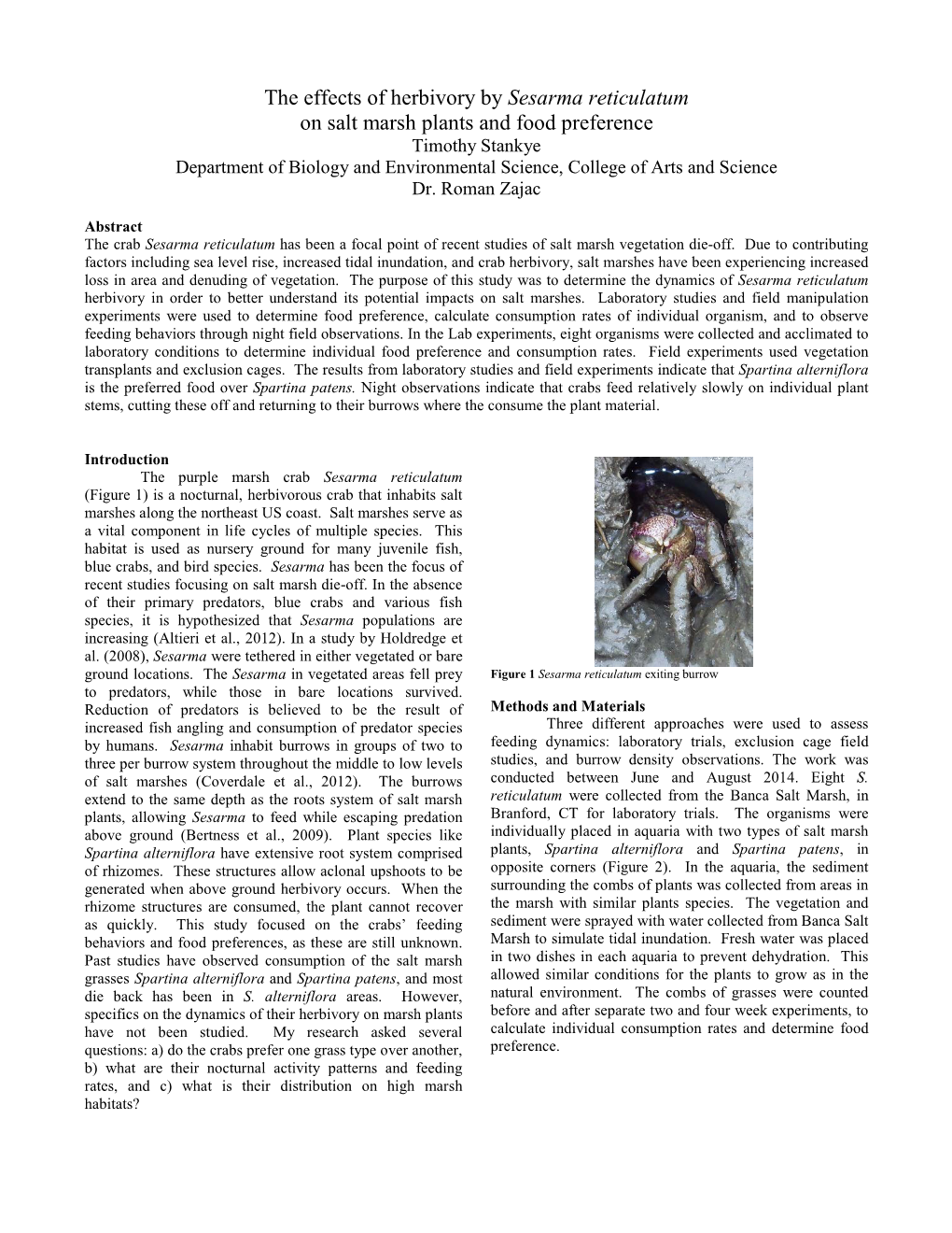 The Effects of Herbivory by Sesarma Reticulatum on Salt Marsh Plants and Food Preference