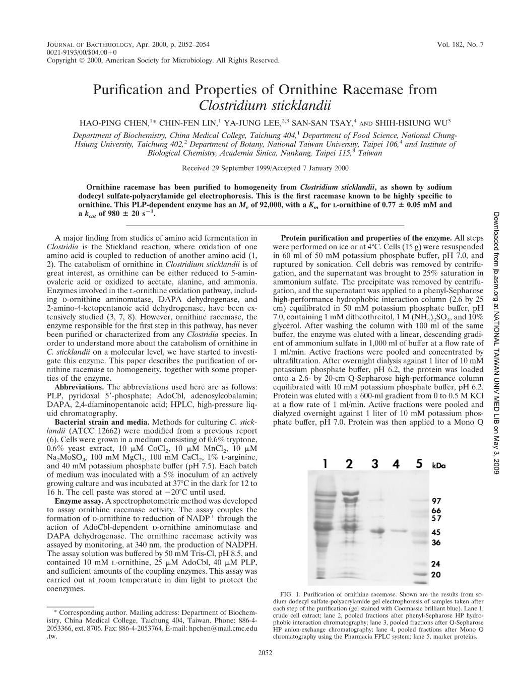 Purification and Properties of Ornithine Racemase From