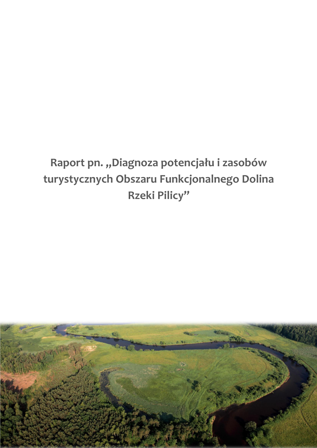Raport Pn. ,,Diagnoza Potencjału I Zasobów Turystycznych Obszaru Funkcjonalnego Dolina Rzeki Pilicy”