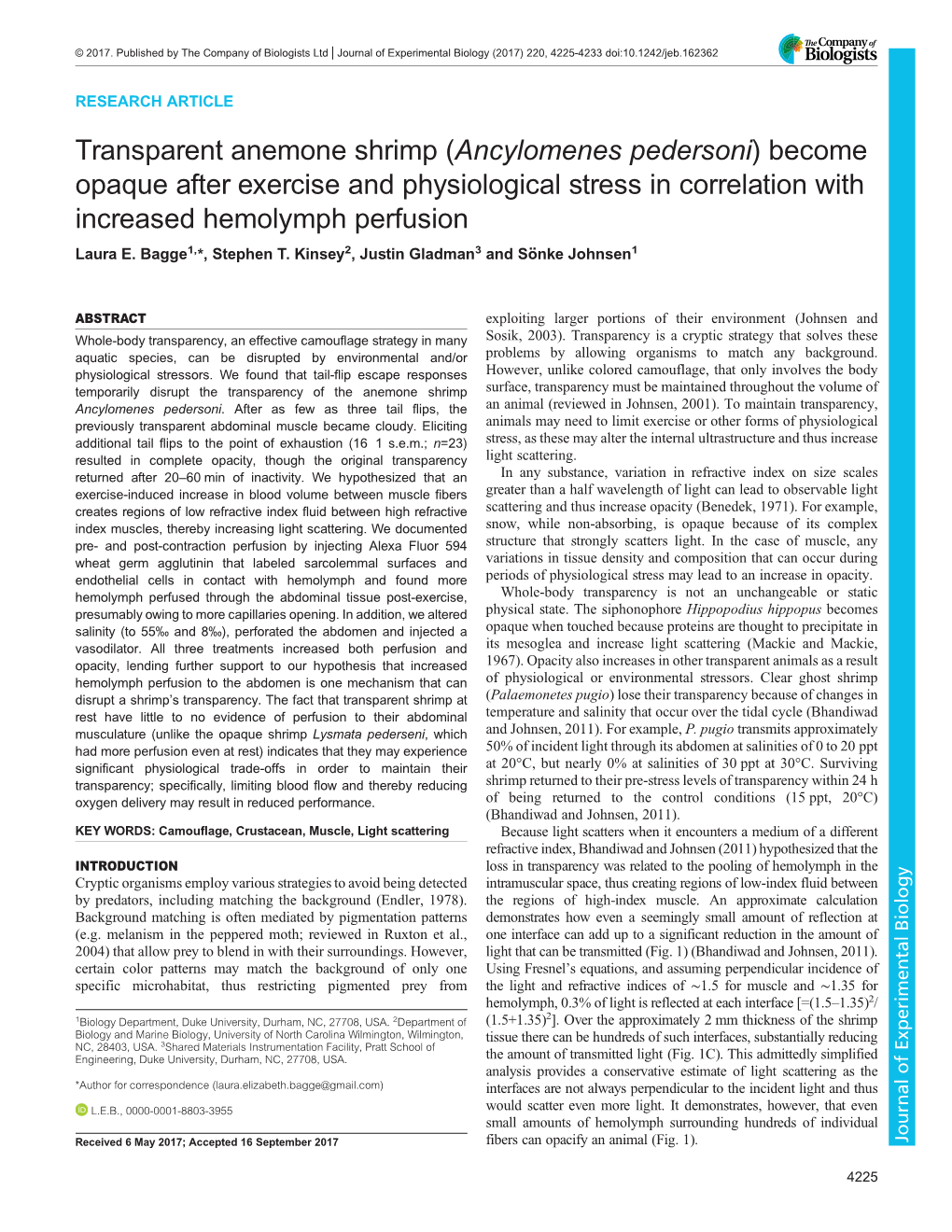 Ancylomenes Pedersoni) Become Opaque After Exercise and Physiological Stress in Correlation with Increased Hemolymph Perfusion Laura E