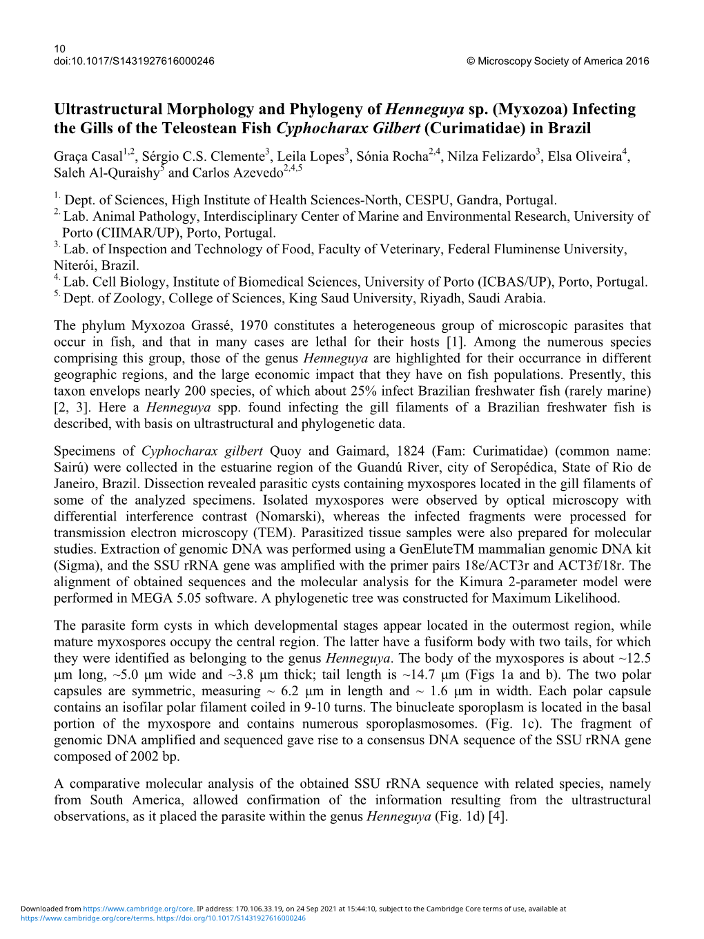 Ultrastructural Morphology and Phylogeny of Henneguya Sp