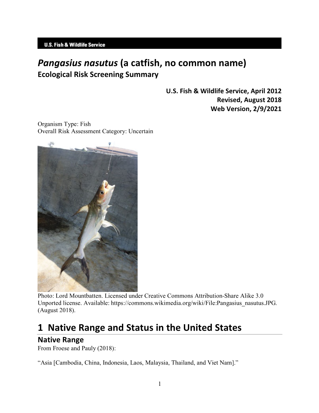 Pangasius Nasutus (A Catfish, No Common Name) Ecological Risk Screening Summary
