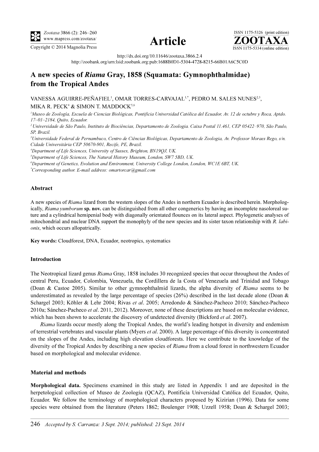 (Squamata: Gymnophthalmidae) from the Tropical Andes