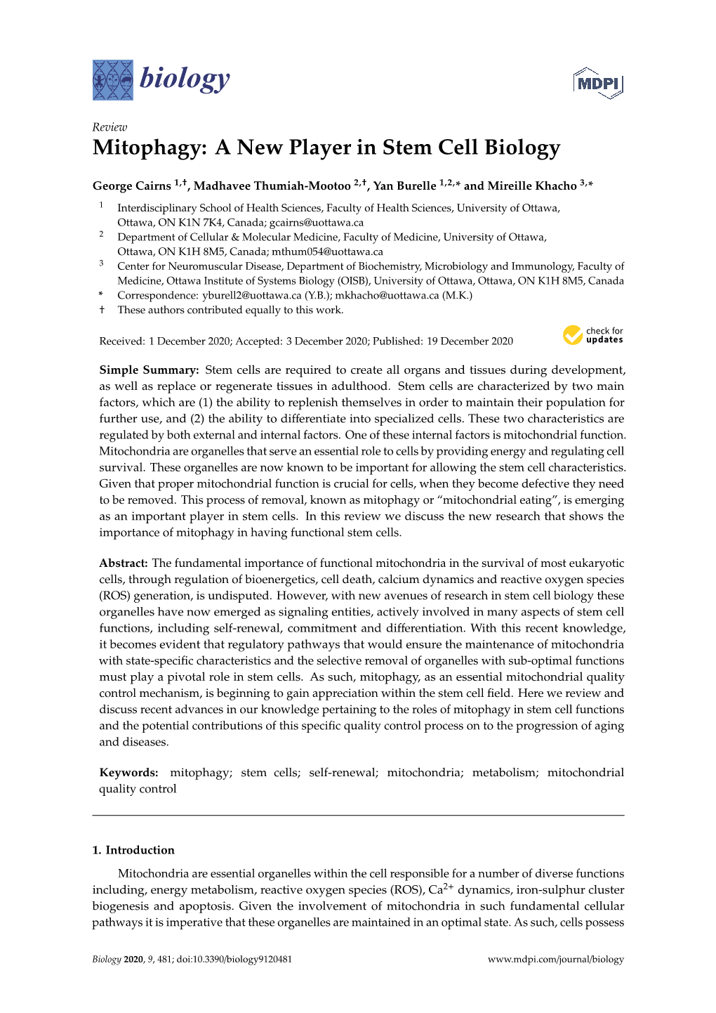 Mitophagy: a New Player in Stem Cell Biology