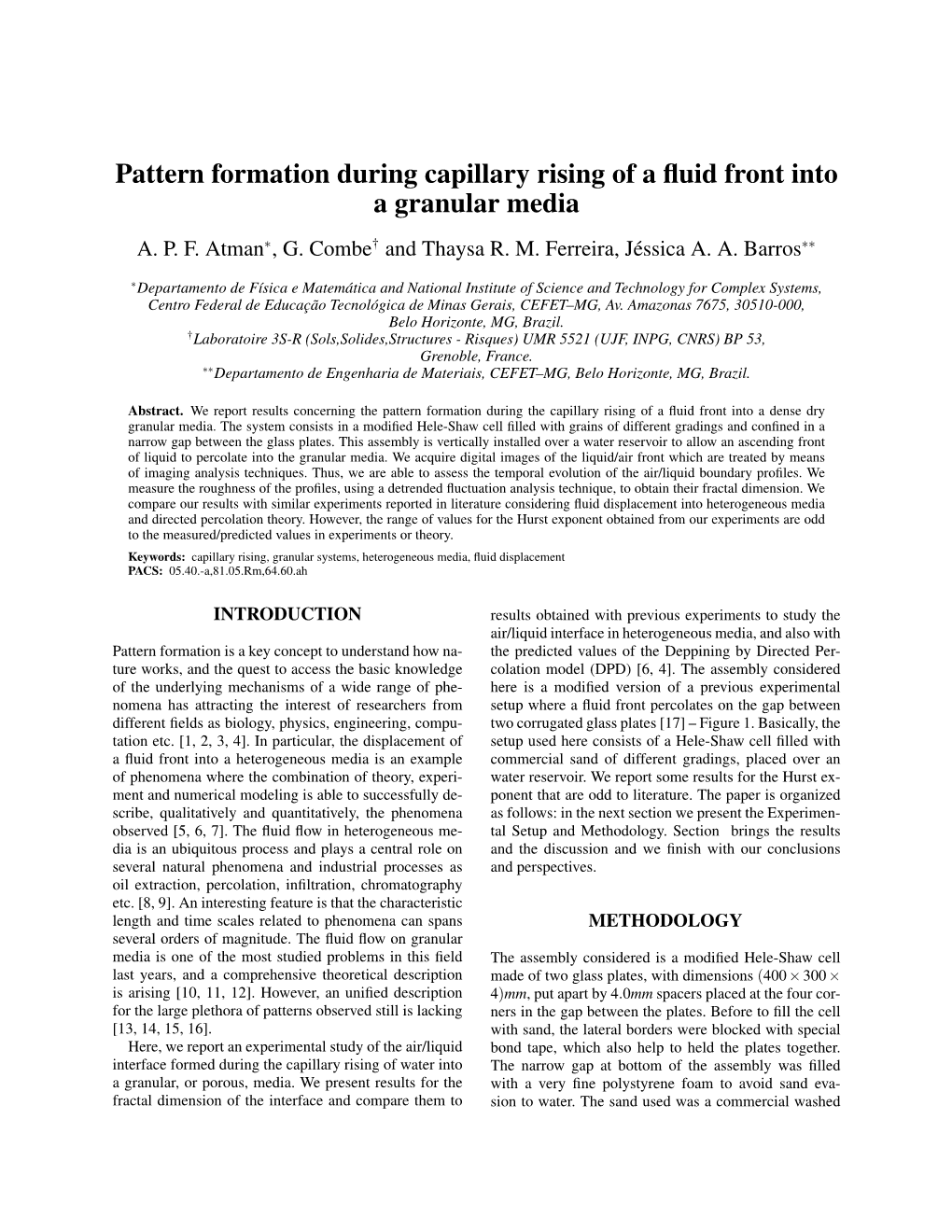 Pattern Formation During Capillary Rising of a Fluid