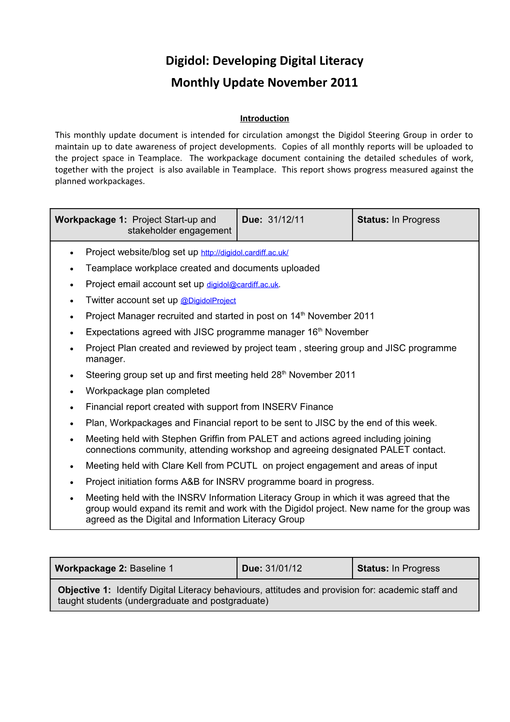 Project Officer Monthly Update Template