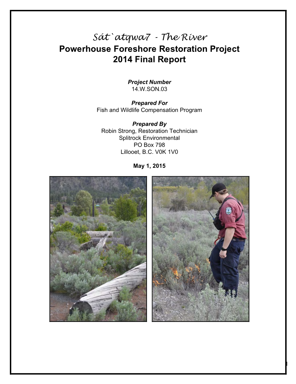 Sát`Atqwa7 - the River Powerhouse Foreshore Restoration Project 2014 Final Report