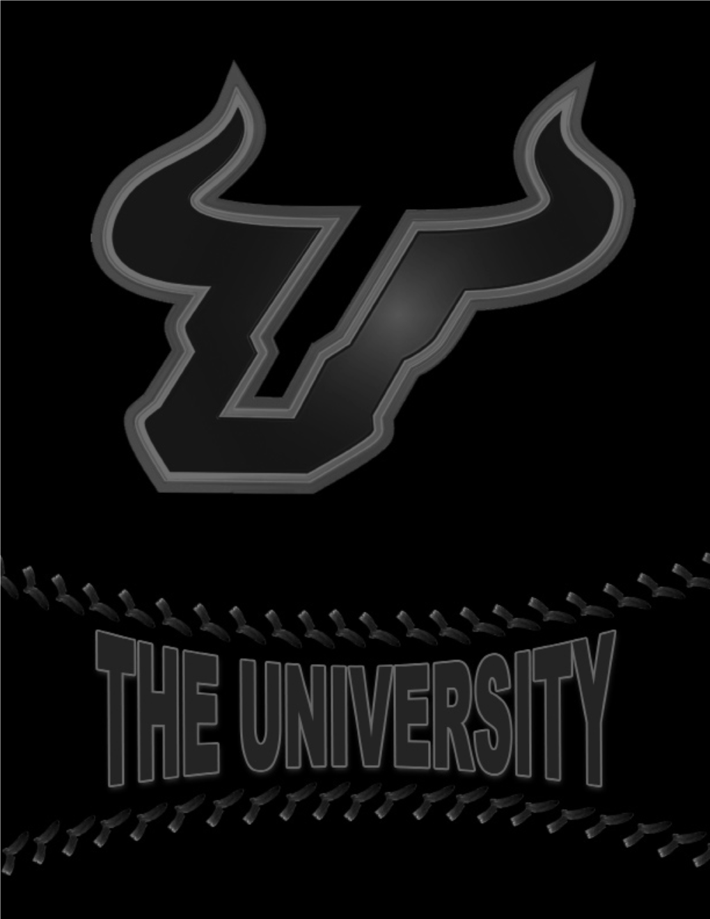 USF Baseball the University