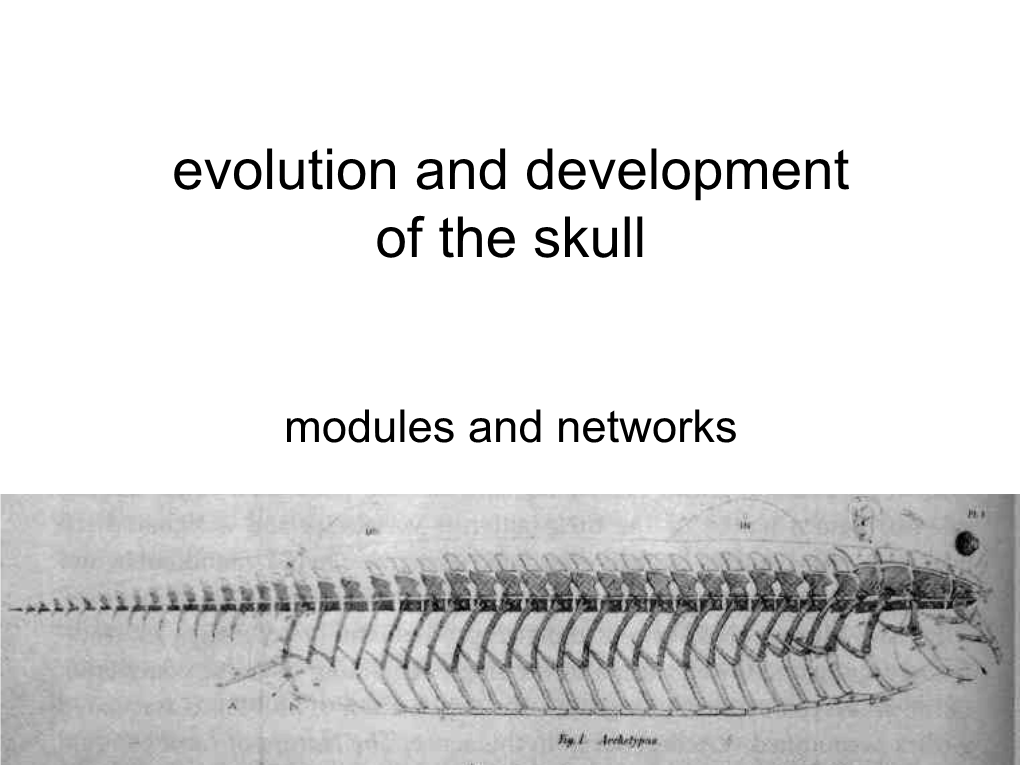 Evolution and Development of the Skull