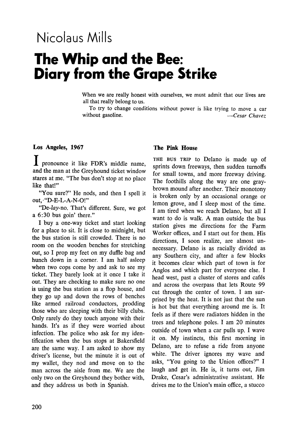 The Whip and the Bee: Diary from the Grape Strike