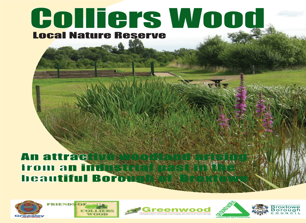 Colliers Wood Leaflet