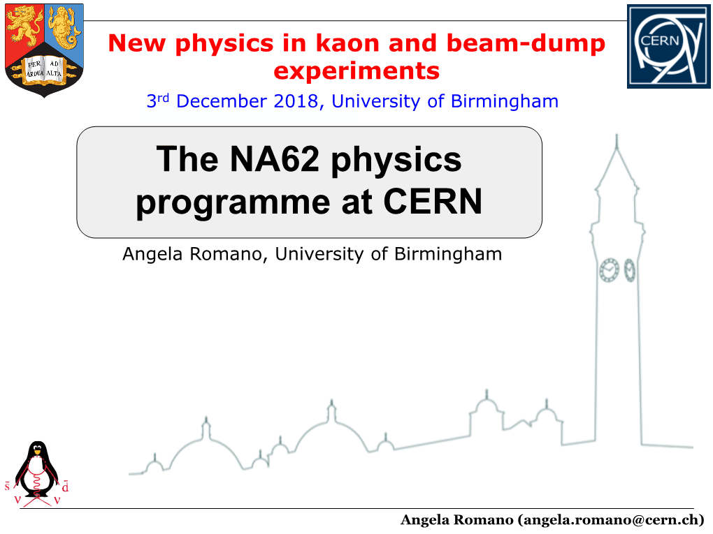The NA62 Physics Programme at CERN