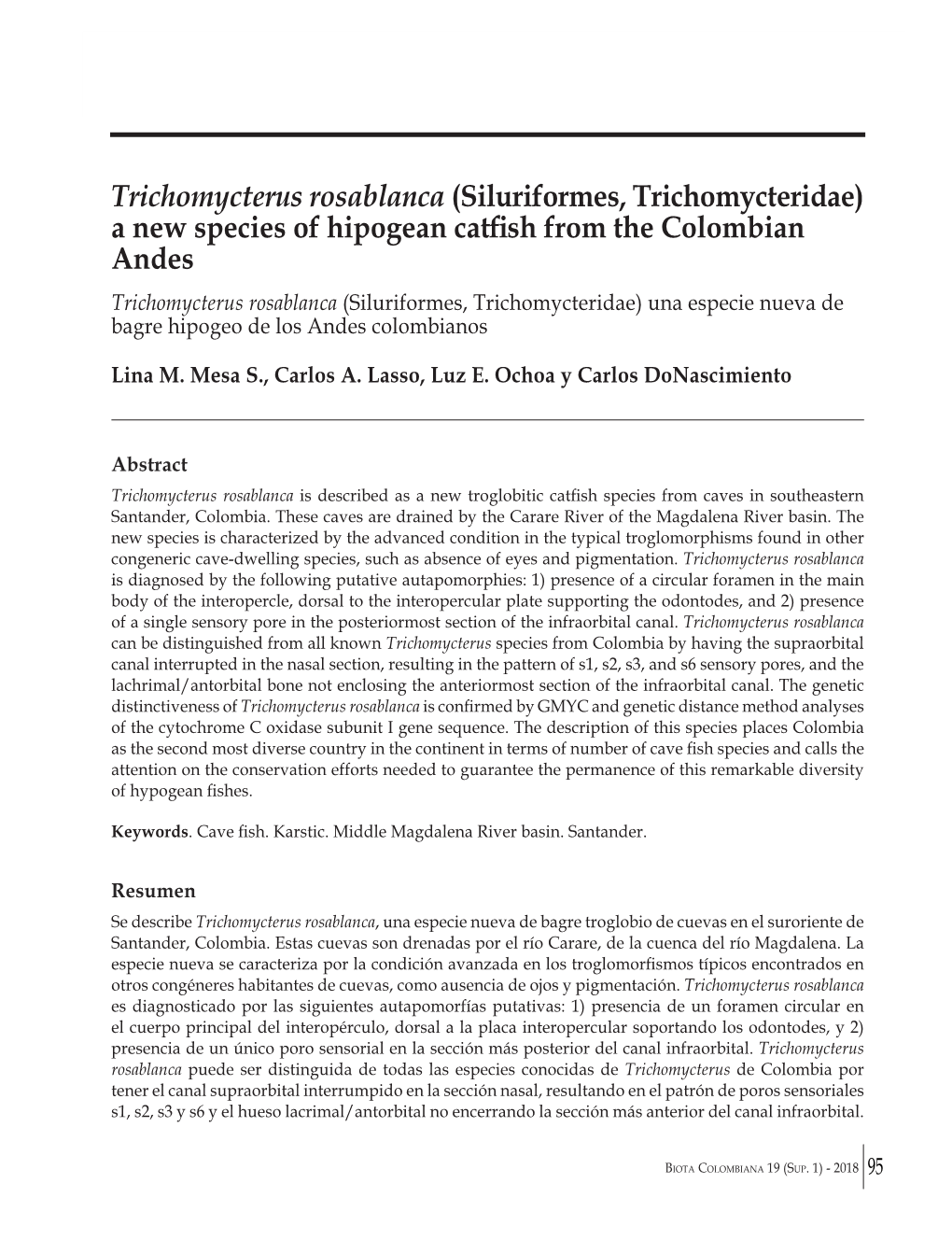 Trichomycterus Rosablanca (Siluriformes, Trichomycteridae) a New Species of Hipogean Catfish from the Colombian Andes