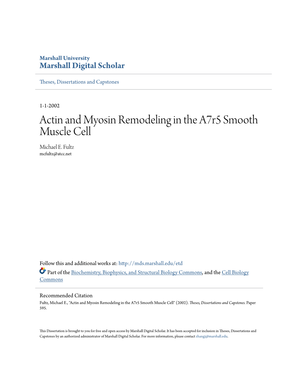 Actin and Myosin Remodeling in the A7r5 Smooth Muscle Cell Michael E
