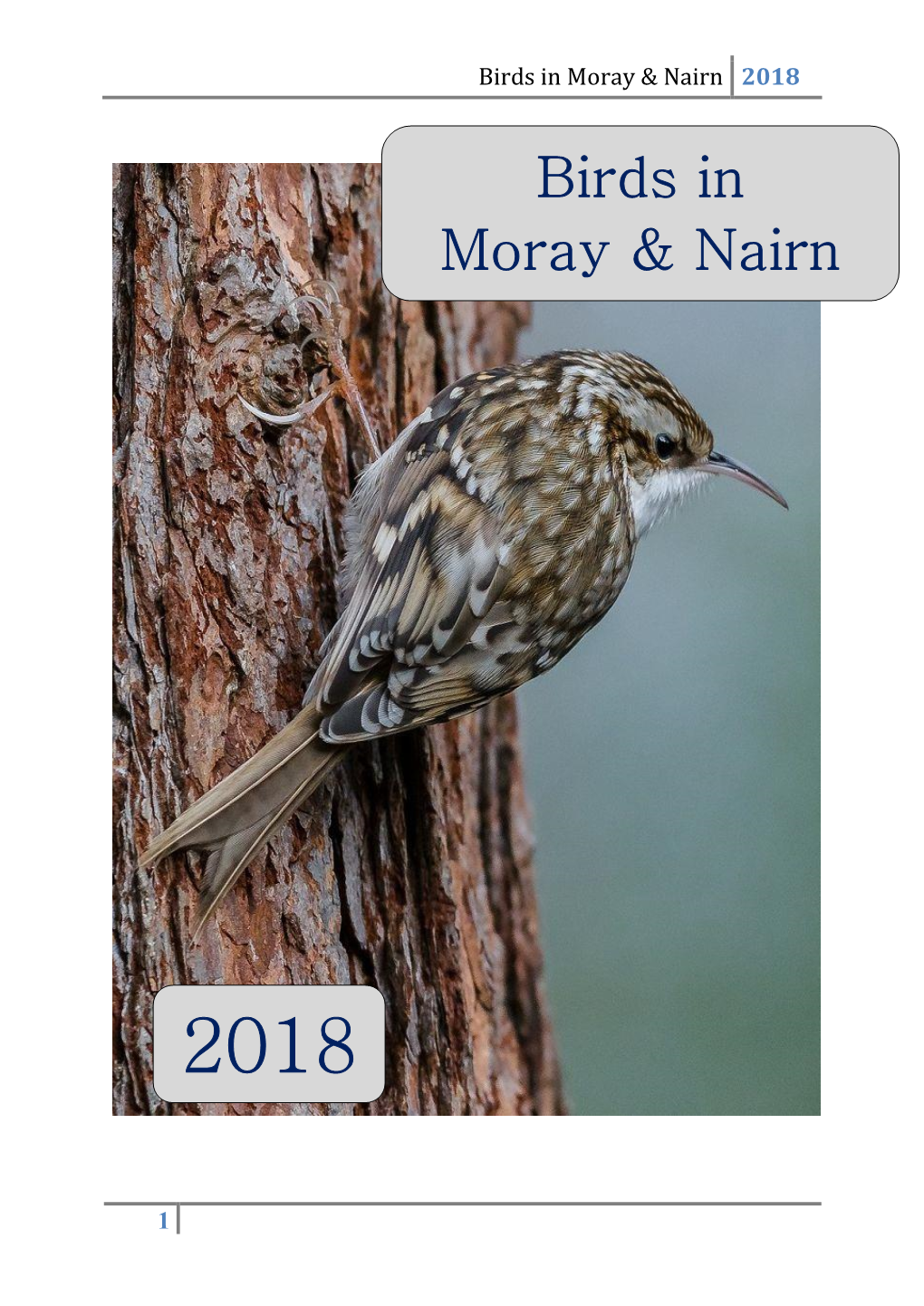 Birds in Moray & Nairn 2018