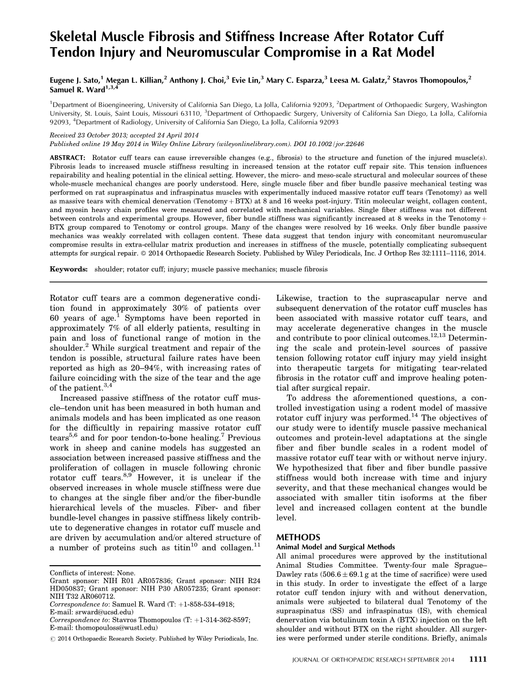 Skeletal Muscle Fibrosis and Stiffness Increase After Rotator Cuff Tendon Injury and Neuromuscular Compromise in a Rat Model