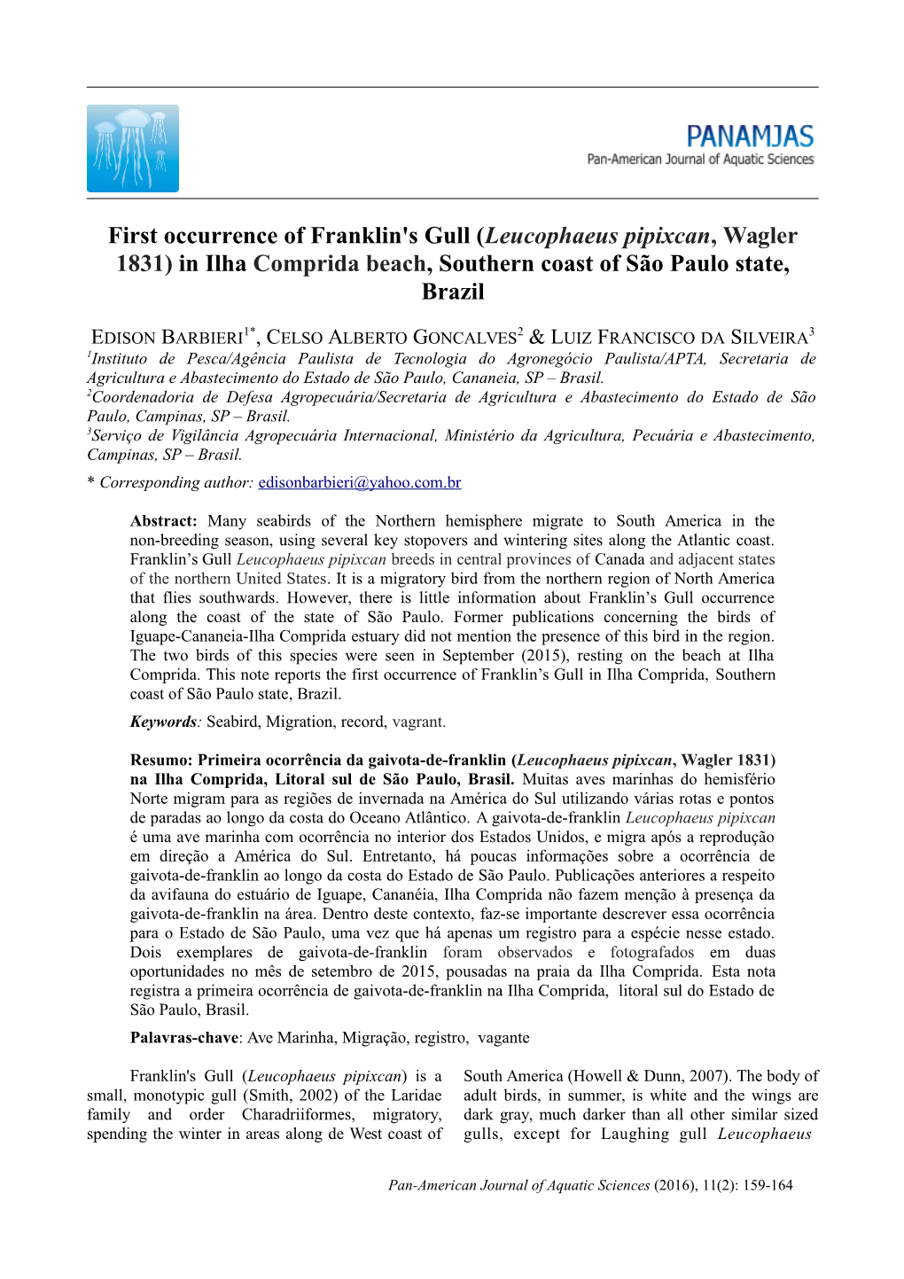 First Occurrence of Franklin's Gull (Leucophaeus Pipixcan, Wagler 1831) in Ilha Comprida Beach, Southern Coast of São Paulo State, Brazil