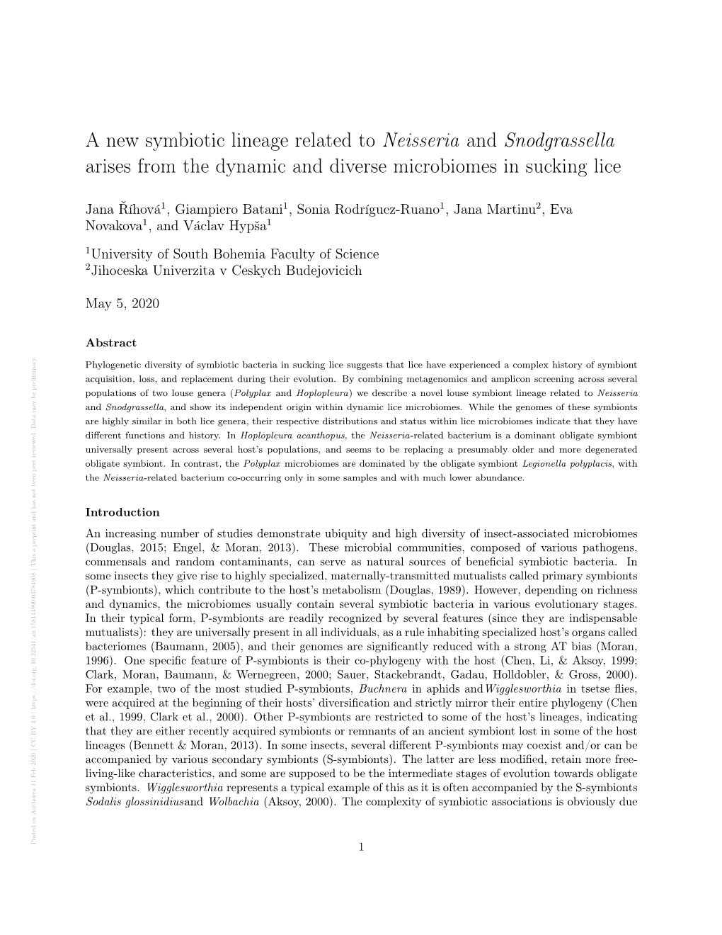 A New Symbiotic Lineage Related to Neisseria And