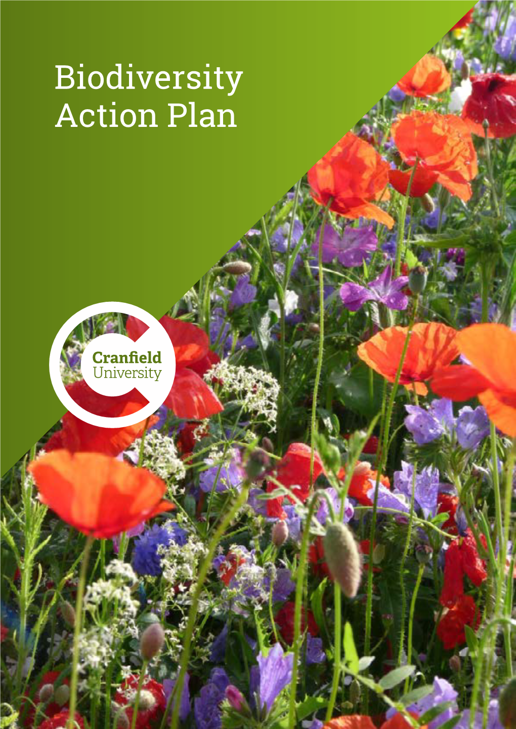 Biodiversity Action Plan