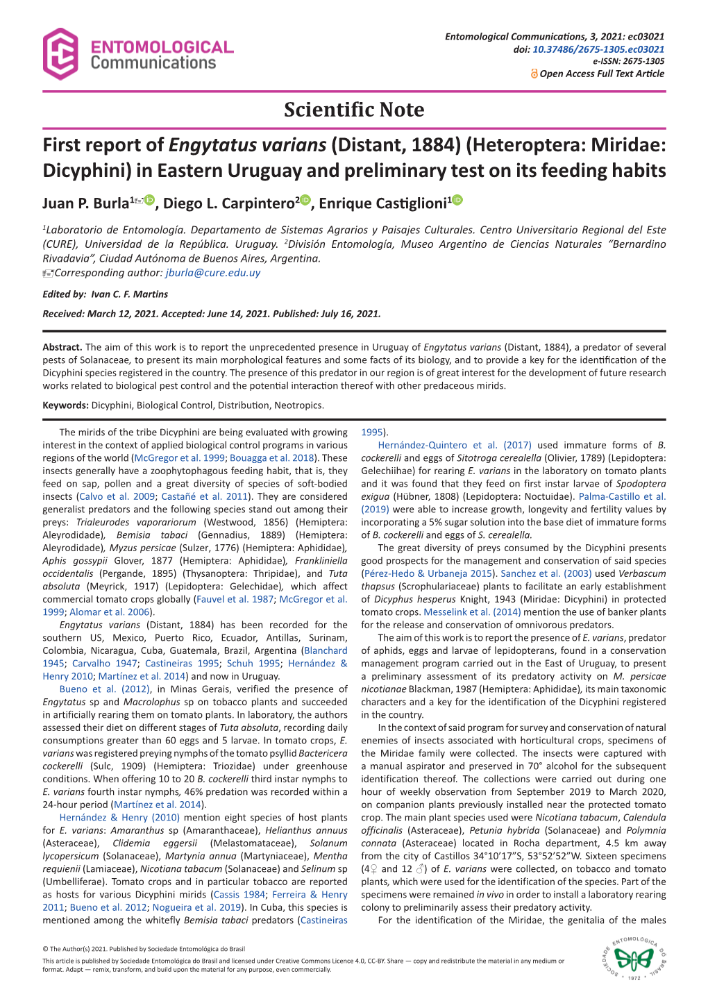 Heteroptera: Miridae: Dicyphini) in Eastern Uruguay and Preliminary Test on Its Feeding Habits Juan P