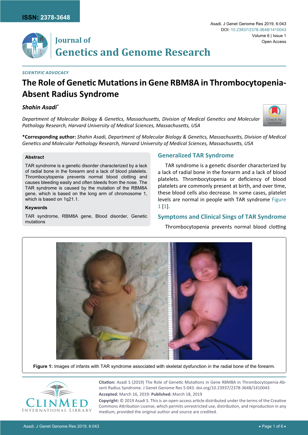 The Role of Genetic Mutations in Gene RBM8A in Thrombocytopenia- Absent Radius Syndrome Shahin Asadi*